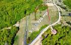 Teren de vanzare Preluca Noua, 1.5 ha, potential turistic - 1