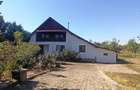 Casa in Ghioroc, cu un teren in suprafata de 2259 mp - 10
