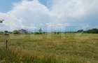 Teren intravilan de vanzare, 544 mp, zona Cornesti - Buduhala - 2