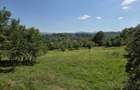 Teren intravilan de vanzare Cacova Ierii, judetul Cluj - 3