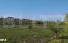 Teren 1000 mp, Buna Ziua, PUZ in derulare - 3