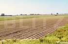 Teren arabil de vanzare, 30.000 mp - Bethausen - 1