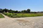 Teren 1.570mp la strada principală, dublă deschidere, Ciofliceni - Snagov! - 6