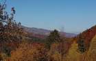 Teren la munte poiana marului brasov - 4