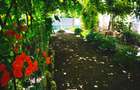 Casa la ?ara de vanzare, mobilata, 2000 mp teren, Covei - Dolj - 5