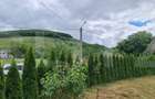 Casă de vânzare,  zonă deosebită , teren generos,Sălișca - 16