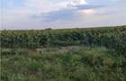 Otopeni-Str.Dr.Garii Balotesti-11.700mp-front 37ml-Ideal Investitie - 8