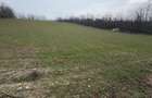 Teren de 6700mp, la intrarea in Filiasi ,la 50m de str. Racoteanu - 5