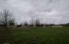Teren intravilan, 3515 mp, zona Crevedia - 8