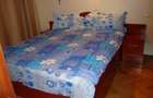 Apartament 2 camere cu centrala proprie - 3