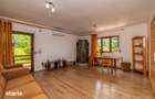 Proprietate de poveste in Corbi, Arges - Doua case si 6300 mp teren i - 5
