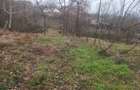 Teren de 1500 mp, în Goranu - 3