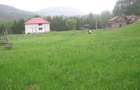 Teren intravilan Valea Doftanei - 3