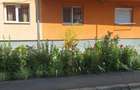 Vand apartament 3 camere in orasul Petrila, judetul Hunedoara - 6