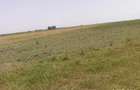 Teren de 9.5 mp, în Ceamurlia de Jos - 1