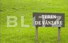 Teren intravilan de vanzare, 29 ari, Ilisesti - 1