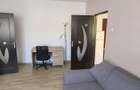 Apartament 2 camere, Grigorescu, pet friendly, parcare - 7