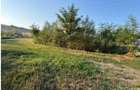 Teren partial intravilan Romani, judetul Neamt, ID: R2326723 - 3