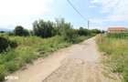 Vand teren intravilan/extravilan 5760mp, zona Calan-E79/Str. Izvorului - 3