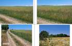 Teren extravilan Miroslovesti, ID: R3226858 - 8