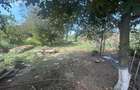 994 mp de teren intravilan cu anexe si casa veche - 7