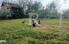 Casa 3 Camere + Anexe de Vanzare | 125 + 73 mp | Santaul Mare | Bihor