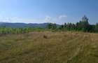 Vand teren langa Ferma Stana Dacilor, 3.5 hectare