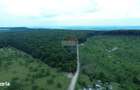 Teren 95,000mp Serbauti / Strada Principala