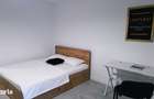 Apartament cu 1 camera de inchiriat Mazepa Rosiori - 10