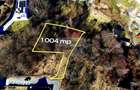Teren constructii 1.004 mp–priveliște neîntrerupta spre oras