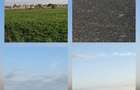 Teren intravilan de vanzare Sanmartin - 5.683 mp - 6