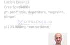 Vanzare chirie spatii comerciale Visan, Profi, de la 30mp la 176mp - 4