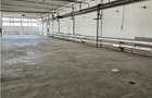 Spatiu Industrial - 3000 mp - Productie - Depozitare - Distributie - 6