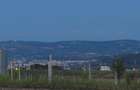 Pamant pentru casa gradina. Beldiman - 1