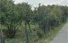 2 Terenuri pentru casa - Badeana 718 mp fiecare - 5