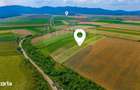 Oportunitate pentru fermieri: 10.800 mp teren arabil in Rotbav, Bra?ov - 2