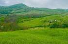 Terenuri extravilane de vanzare Cozieni, jud. Buzau - 9