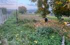 Casă cu Teren 2300 Mp în Petrești - 2