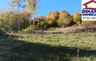 3600 mp teren intravilan, sat Bistrita, 12 Euro/mp - 7