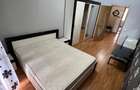 Apartament cu o camera Faget - 2