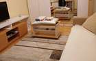Apartament 1 camera de inchiriat zona Complex Studen?esc - 8