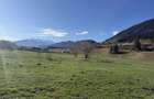 Teren intravilan 1269 mp cu priveliste la 12 km de zona Bran-Moeciu. - 2