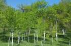 Vand teren agricol intravilan extravilan