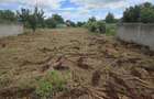 De vanzare teren intravilan,Com.Clinceni -Bragadiru - 5