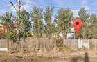 Teren intravilan zona Vadu Pasii BZ 4.000mp d=20m drum asfaltat utilitati Pret: