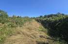 Vanzare casa + teren Tismana 69.000 Euro - 8