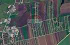 Loc de casa 500mp Harman -Str Nicolae Balcescu nr 136, utilitati