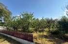 Vanzare proprietate Valea Argovei - 2