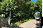 Teren intravilan Valea Mare Podgoria, ID: R3259992 - 5