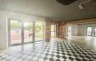 SPATIU COMERCIAL STRADAL/OPEN SPACE/5 PARCARI/IANCU NICOLAE/plus tva - 12